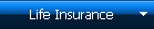 Life Insurance