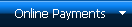 Online Payments